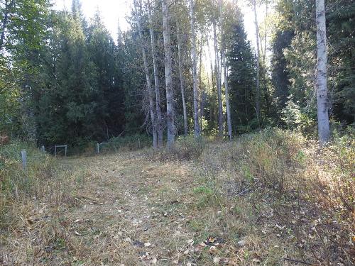 1852 Trinity Valley Road, Lumby, BC - Outdoor