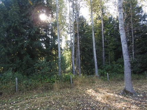 1852 Trinity Valley Road, Lumby, BC - Outdoor With View