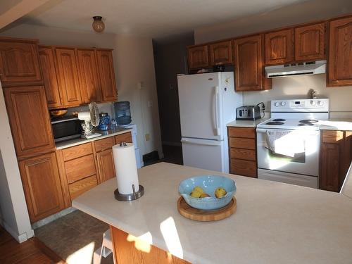 1852 Trinity Valley Road, Lumby, BC - Indoor Photo Showing Kitchen