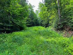 Land/Lot - 