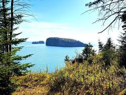 21-AX Two Island Road  Parrsboro, NS B0M 1S0