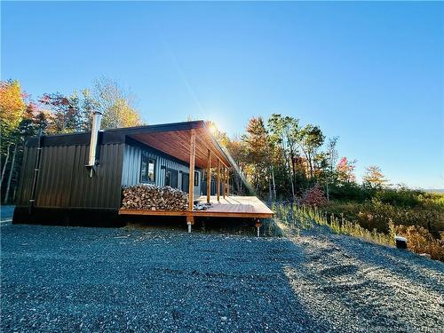731 Pointe Aux Carr Rd, Napan, NB 