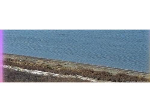 731 Pointe Aux Carr Rd, Napan, NB 