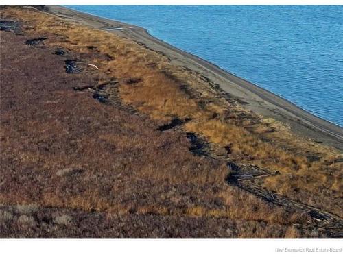 731 Pointe Aux Carr Rd, Napan, NB 