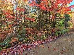 28 acres rue des Fondateurs  Petit-Paquetville, NB E8R 1B3