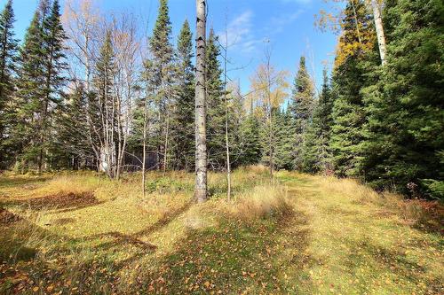 Land/Lot - 2282 Route De St-Philippe, Val-D'Or, QC - Outdoor With View