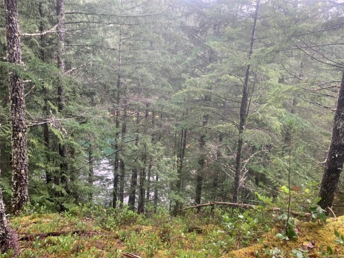 Lot 60 Busby Island, Sonora Island, BC 