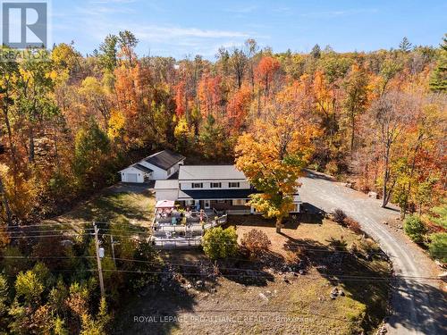 17276 HIGHWAY 41  Addington Highlands (Addington Highlands), ON K0H 1K0