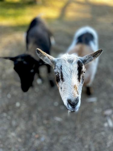 7502 Highway 95A, Kimberley, BC -  With View