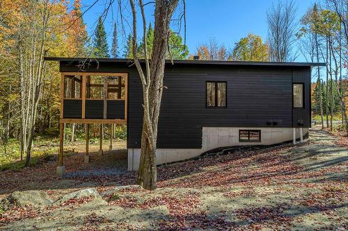 Other - 1081 Ch. Domaine Sur Le Lac, Sainte-Lucie-Des-Laurentides, QC - Outdoor