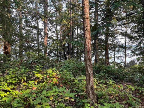 Lot 2 North End Rd, Salt Spring, BC 