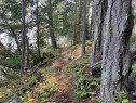 Lot 2 North End Rd, Salt Spring, BC 