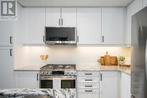 208 - 17 Spooner Crescent, Collingwood, ON - Indoor Photo Showing Kitchen With Upgraded Kitchen