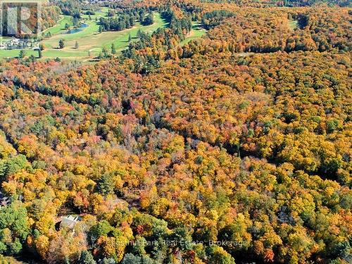 384 Golf Course Road, Huntsville (Chaffey), ON - Outdoor With View