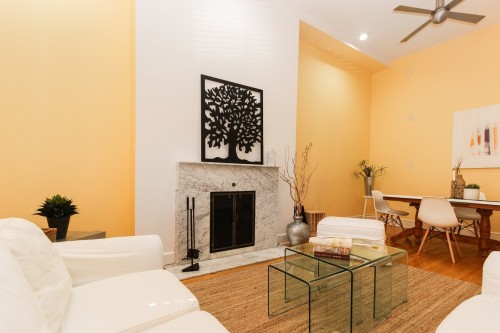 Salon - 1-3491 Rue Durocher, Montréal (Le Plateau-Mont-Royal), QC - Indoor Photo Showing Living Room With Fireplace