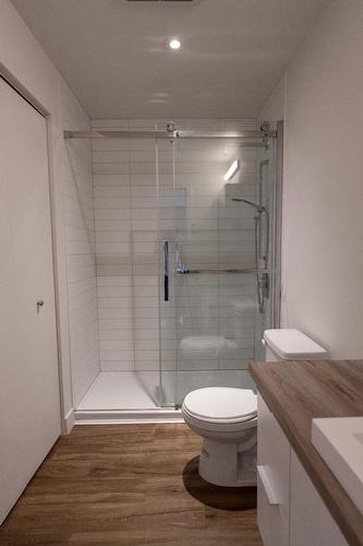 Other - 206-2542 Place Pierre-Falardeau, Montréal (Rosemont/La Petite-Patrie), QC - Indoor Photo Showing Bathroom