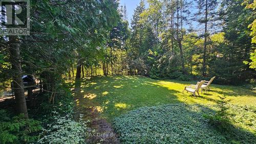 8 Carter Road, Northern Bruce Peninsula, ON - Outdoor