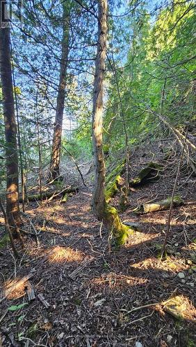 8 Carter Road, Northern Bruce Peninsula, ON - Outdoor With View