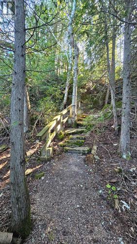 8 Carter Road, Northern Bruce Peninsula, ON - Outdoor With View