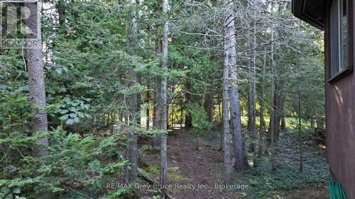 8 Carter Road, Northern Bruce Peninsula, ON - Outdoor