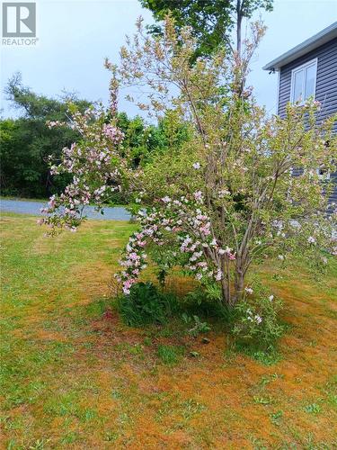 93 Forest Road, Conception Bay South, NL - Outdoor