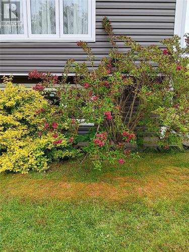 93 Forest Road, Conception Bay South, NL - Outdoor
