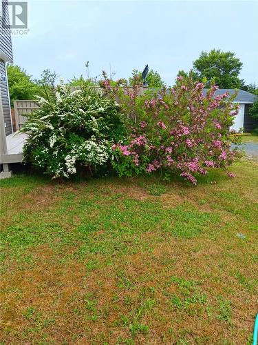 93 Forest Road, Conception Bay South, NL - Outdoor