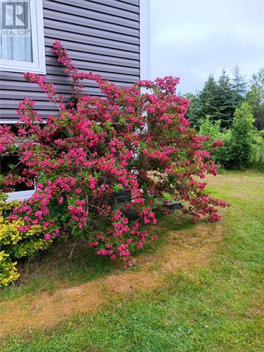 93 Forest Road, Conception Bay South, NL - Outdoor