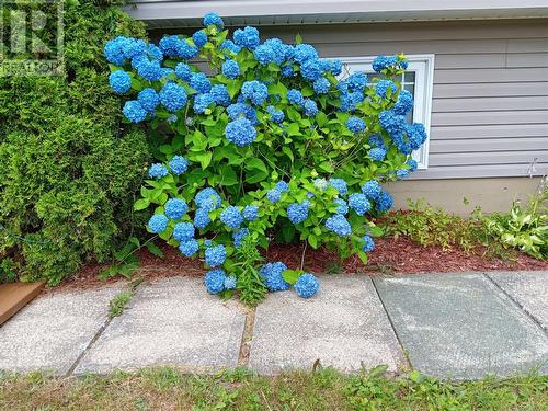 93 Forest Road, Conception Bay South, NL - Outdoor