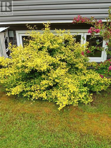 93 Forest Road, Conception Bay South, NL - Outdoor