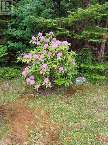 93 Forest Road, Conception Bay South, NL - Outdoor