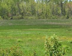 VL North Wallace Road  North Wallace, NS B0K 1L0