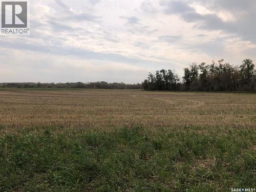Tomilin Farm, Keys Rm No. 303, SK 