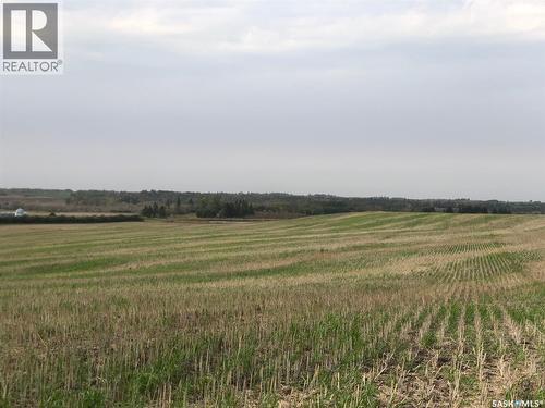 Tomilin Farm, Keys Rm No. 303, SK 