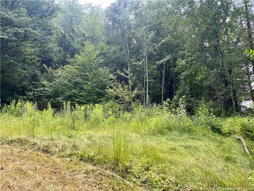 241 Route 107, Nashwaak Bridge, NB 