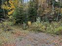360 Condon Rd, Scotsburn, NS 