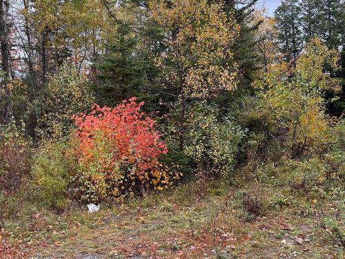 360 Condon Rd, Scotsburn, NS 