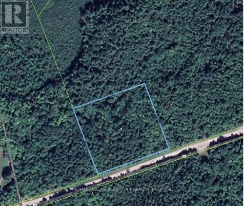 942 Balmer Road, North Kawartha, ON 