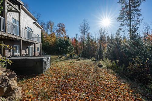 Backyard - 6973 Rue Champlain, Wentworth-Nord, QC - Outdoor