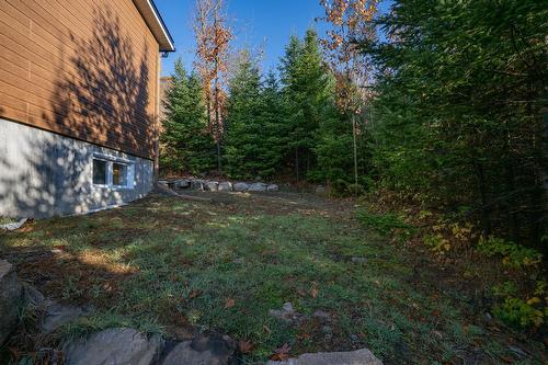 Backyard - 6973 Rue Champlain, Wentworth-Nord, QC - Outdoor