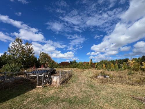Land/Lot - 499 Route Cox, Bonaventure, QC - Outdoor With View