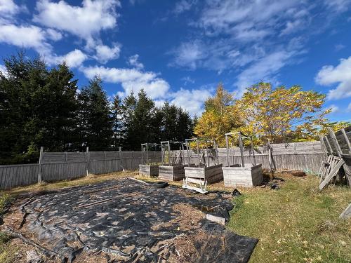 Backyard - 499 Route Cox, Bonaventure, QC - Outdoor