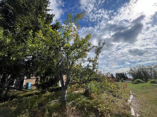 Backyard - 499 Route Cox, Bonaventure, QC - Outdoor With View