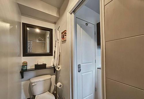 Salle d'eau - 2705 Route 323 N., Amherst, QC - Indoor Photo Showing Bathroom