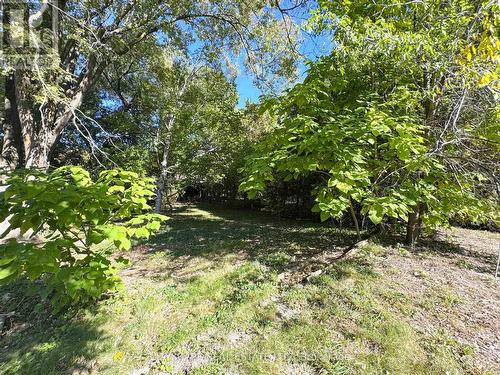 View from within the Lot - 353A Ontario Street, Newmarket, ON 