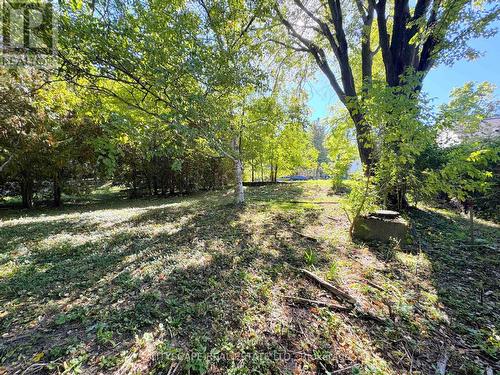 View from within the Lot - 353A Ontario Street, Newmarket, ON 