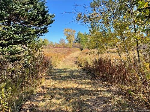 205 South Napan Rd, Napan, NB 