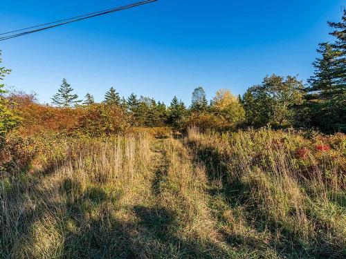 Fort Point Road, Ashmore, NS 
