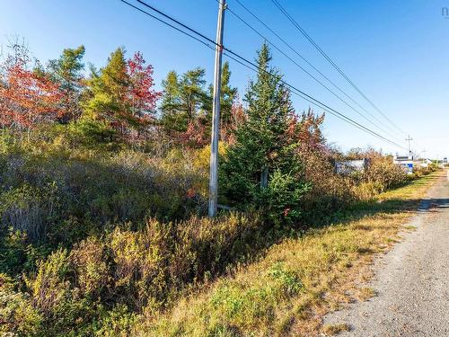 Fort Point Road, Ashmore, NS 