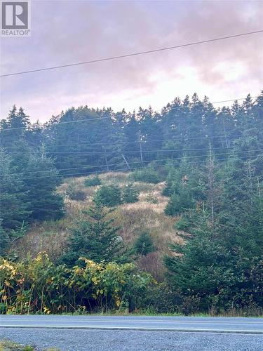 96-104 Bonds Path, Placentia, NL 